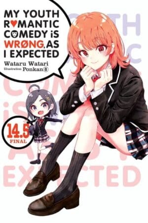 My Youth Romantic Comedy Is Wrong, As I Expected, Vol. 14.5 (light novel)