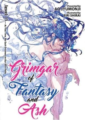 Grimgar of Fantasy and Ash (Light Novel), Vol. 11