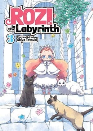 Rozi in the Labyrinth, Vol. 3