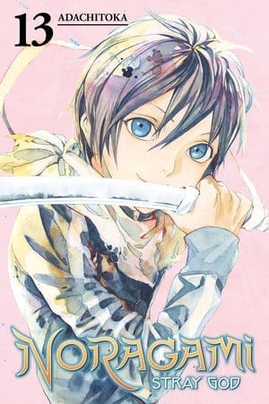 Noragami: Stray God, Vol. 13