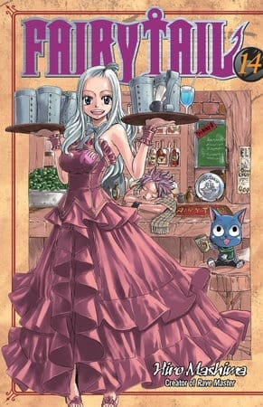 FAIRY TAIL, Vol. 14